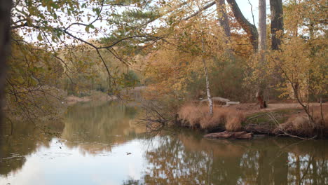 Slide-Reveal-Of-Lake---Pond-In-Autumn---Fall