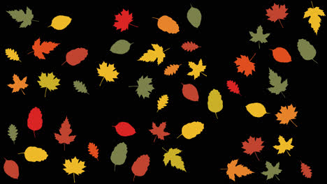 cartoon-style-animation-with-autumnal-leaves-appearing-in-stop-motion-with-alpha-channel-included