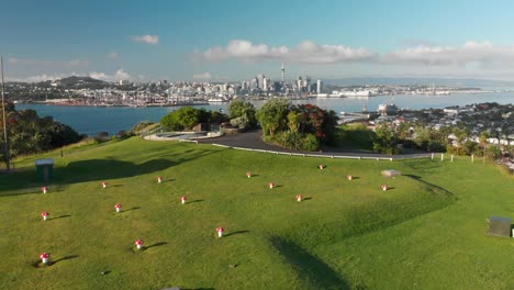 SLOWMO---Aerial-shot-of-mushrooms-on-top-of-Mount-Victoria-with-Auckland-downtown-in-background,-New-Zealand