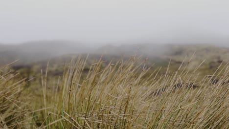 Zeitlupe:-Stimmungsvolle-Landschaft-Aus-Nächster-Nähe-Auf-Der-Insel-Skye-In-Schottland