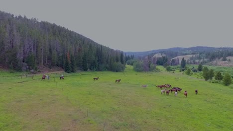 Cowboys-and-horses-in-the-pastures-of-the-Rocky-Mountains