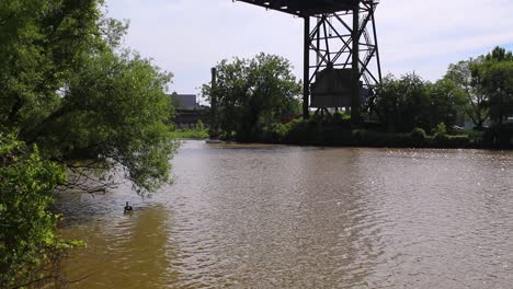 Enten-Und-Entenküken-Hängen-Unter-Einer-Hubbrücke-In-Cleveland,-Ohio,-Entlang-Des-Cuyahoga-River