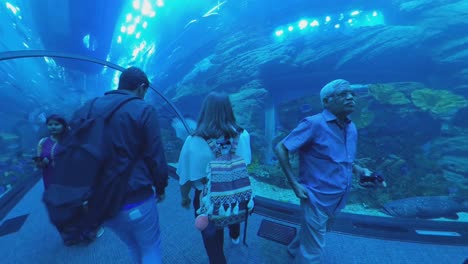 Aquarium---Underwater-Zoo-in-The-Dubai-Mall