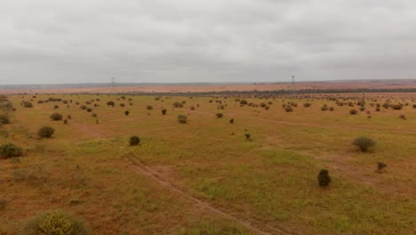 Vista-Del-Parque-Nacional-De-Nairobi.-Tomas-Aereas