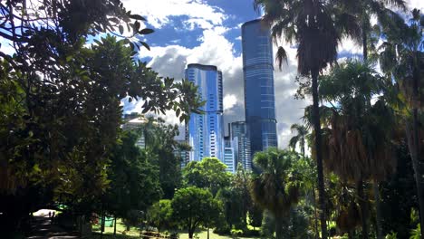 View-of-city-skyscrapers-through-trees-in-a-downtown-park-in-Brisbane,-Australia