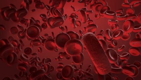 Rote-Blutkörperchen-Schwimmen-In-Der-Vene
