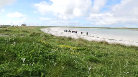 Large-group-of-walkers-on-Balranald-beach-North-Uist-on-a-sunny-day-with-machair-in-the-foreground