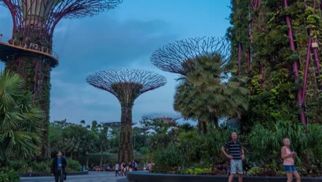 Hyperlapse-Video-of-Supertree-Grove-At-Gardens-By-The-Bay-Singapore
