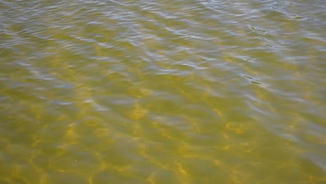 gold-toned-bay-water-top-view-with-sunlit-pattern-waves-background