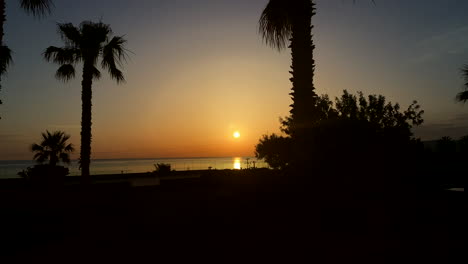 Sunrise-on-the-horizon-between-beautiful-palm-trees-early-in-the-morning-on-Crete,-Greece