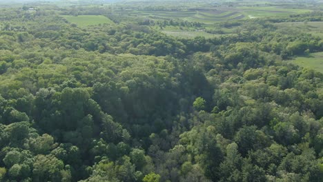 Aerial-of-rugged-terrain-covered-in-dense-foliage-and-meadows-during-a-hot-and-sunny-summer-afternoon