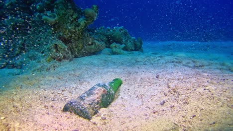 Botella-De-Vidrio-En-El-Fondo-Marino-Del-Arrecife-De-Coral