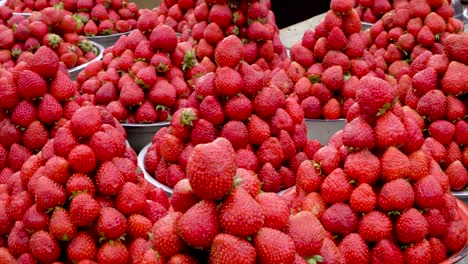 Stapel-Von-Erdbeeren-In-Schalen-Auf-Einem-Markt-In-Papua-Neuguinea-Angeordnet