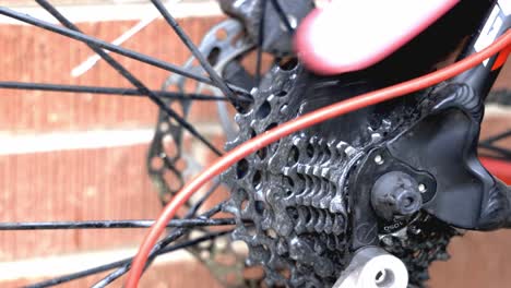 Close-up-of-a-dirty-rear-cassette-on-a-bicycle-being-scrubbed-with-a-brush-using-water-and-degreaser-to-clean
