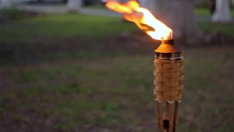 Outdoor-shot-of-a-tiki-torch-and-flame