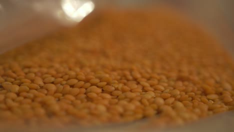Lentils-close-up-shallow-depth-of-field