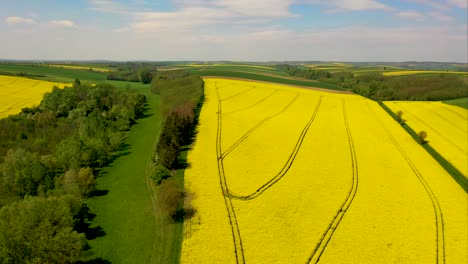 Hills-and-mountains-on-horizon-behind-canola-seed-fields-in-Lower-Austria,-drone-flight-aerial-footage-over-agrictural-used-farmland
