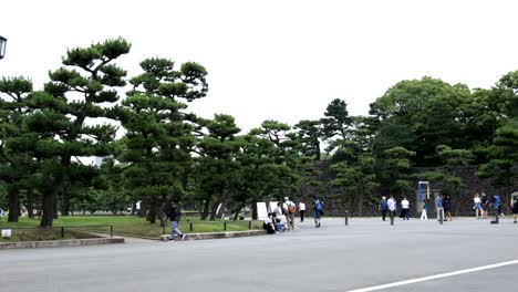 Imperial-Palace-Park-in-Tokio,-Tokyo,-Japan,-Asia