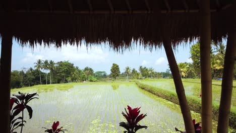 Drohnenaufnahme,-Die-Langsam-Und-Reibungslos-Durch-Eine-Schicke-Restaurantvilla-Mit-Blick-Auf-Einige-Reisfelder-In-Bali,-Indonesien,-Fliegt