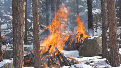 Gefahrenminderung-Beim-Brennen-In-Einem-Wald-Im-Winter