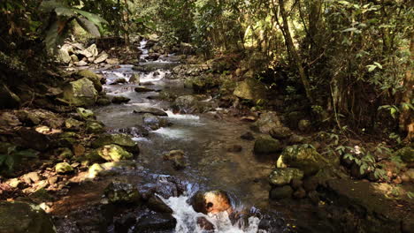 Tilt-shot,-flowing-creek,-Natural-Bridge-Waterfall-Springbrook,-Queensland