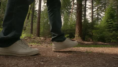 Closeup-shot-of-a-men-steps-in-blue-jeans-and-white-shoes-on-a-forest-path