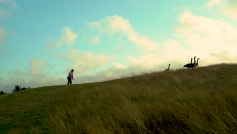 Golfer-Schwingt-Auf-Dem-Bandon-Golfplatz-In-Oregon,-Vier-Kanadagänse-Gehen-Von-Ihm-Weg,-Malerischer-Und-Wunderschöner-Himmel-Und-Wolken