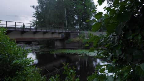 Handaufnahme-Von-Blättern-Im-Fokus,-Mit-Einer-Eisenbahnbrücke-Und-Bäumen-Und-Einem-Viskan-Bach-Im-Hintergrund-An-Einem-Bewölkten-Nachmittag-In-Borås,-Schweden