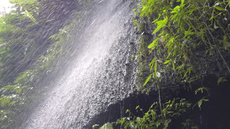 looking-up-at-small-jungle-water-fall-in-ubud,-bali,-indonesia