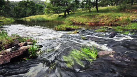Low-shot-of-a-spring-stream-with-running-water-with-dolly-pan-and-time-lapse