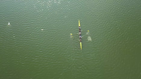 Aerial-view-of-two-people-rowing-a-yellow-boat-on-a-lake-next-to-two-white-swans