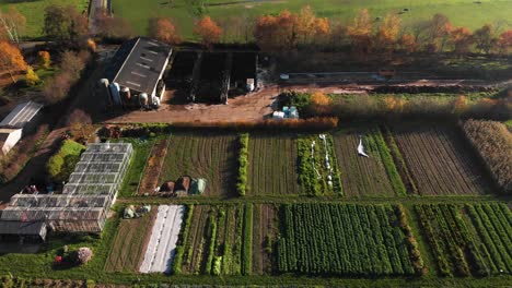 Gemüse--Und-Obstgarten-Eines-Biologisch-dynamischen-Bauernhofs-In-Den-Niederlanden-Mit-Einer-Geordneten-Vielfalt-An-Nutzpflanzen-Und-Weideflächen-Mit-Pferden-Daneben