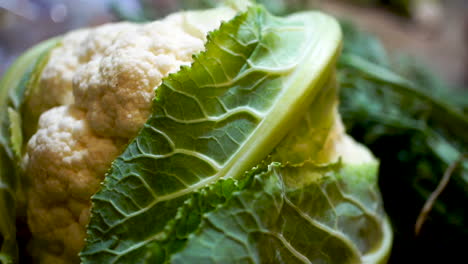 Pan-of-whole-cauliflower-head-with-green-leaves,-soft-focus-background