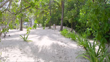Spaziergang-Auf-Einem-Sandweg-An-Einem-Tropischen-Strand