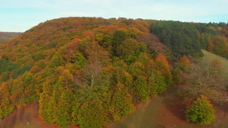 Fliegen-über-Einen-Wald-An-Einem-Goldenen-Tag-Im-Oktober-Mit-Herbstfarben