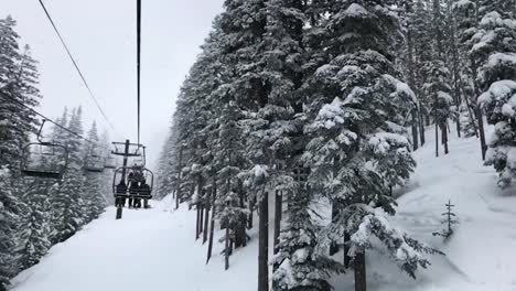 Slow-motion-Pan-from-a-snowcovered-fir-tree-forest-to-a-ski-lift-carrying-skiers-to-the-summit-of-the-mountain,-Powder-Mountain,-Utah