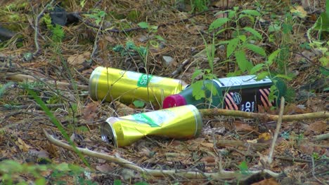 Waste-dumped-in-the-forest