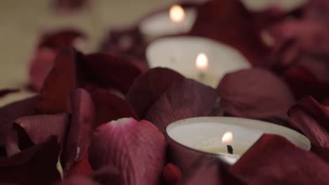 Teelichter-Brennen-Auf-Einem-Bett-Aus-Roten-Rosenblättern