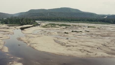 4K-Salmon-river-going-upstream---Drone-flying-seq-001-005