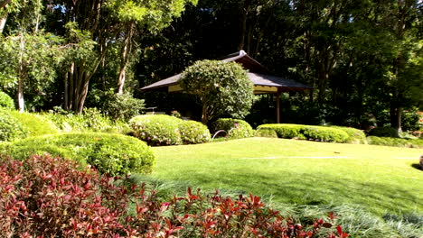 Kleine-Hütte-Inmitten-Der-Blumen,-Japanische-Gärten,-Brisbane,-Queensland