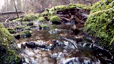 Remote-creek-flowing-under-the-camera