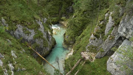 Kristallklarer-Fluss,-Der-In-Einem-Bach-Mit-Umgestürzten-Bäumen-Fließt,-Deutschland