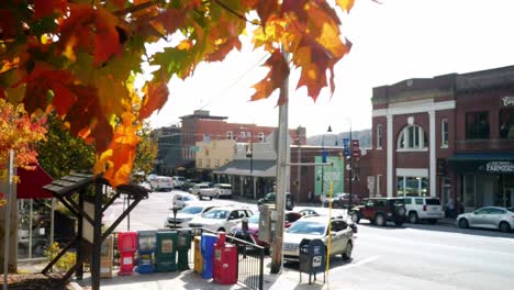 Autumn-Leaves-with-Downtown-Boone-in-Background
