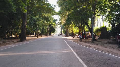 Stabilized-Shot-of-Driving-Through-Angkor-Wat-With-the-Sun-Shining-Through-the-Trees-A
