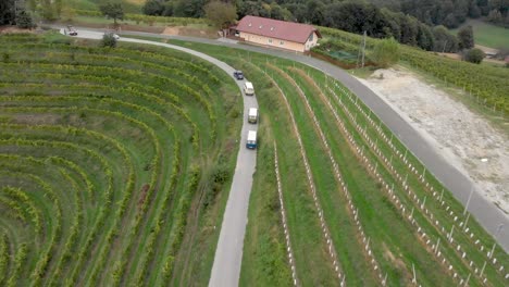 Cars-and-vans-driving-through-the-wine-region-of-Jeruzelum-in-Slovenia-from-an-aerial-perspective