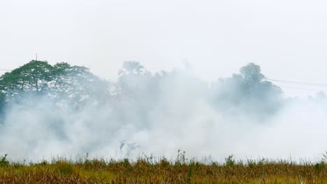 Dicke-Dunkle-Rauchwolken-Steigen-Aus-Waldbränden-Und-Bränden-Auf