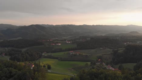 Eine-Professionell-Aussehende-Luftaufnahme-Der-österreichischen-Alpen,-Während-Der-Sonnenuntergang-Die-Grüne,-Felsige-Landschaft-Und-Die-Weinberge-Zeigt,-Die-Direkt-über-Einige-Bäume-Fliegen