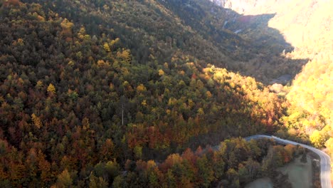 Fahrt-Durch-Erstaunliche-Herbstfarben-Während-Der-Herbstsaison-Im-Durmitor-Nationalpark-Montenegro