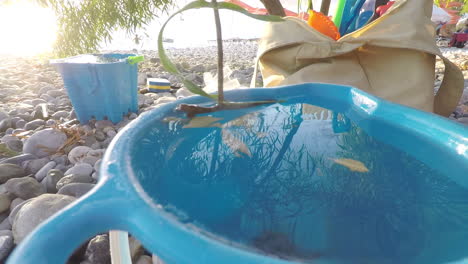 Closeup-of-a-handmade-boat-made-of-a-branch-and-a-leaf,-floating-in-a-bucket-filled-with-sea-water