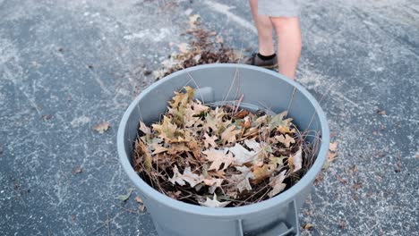 Man-rakes-leaves-off-driveway-and-places-them-in-plastic-garbage-can